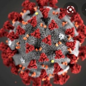 coronavirus